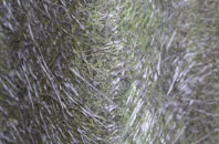 Porthloo fibreglass roof work